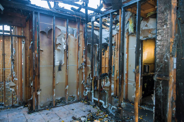 Professional Soot Cleanup technician working in Longwood, FL
