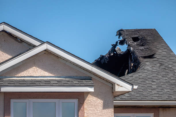 Top rated local Soot Cleanup specialists in Longwood, FL